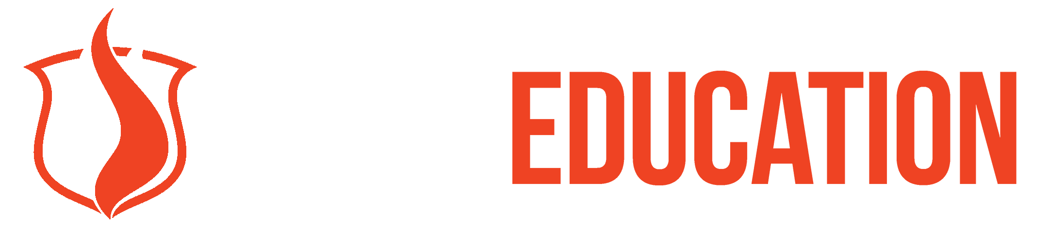 Online Stunt Education & Action Filmmaking Courses